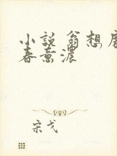 小说 翁想房中春意浓