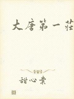 大唐第一庄
