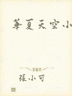 华夏天空小说网