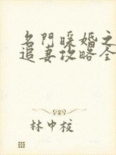 名门暖婚之权爷追妻攻略全文免费阅读