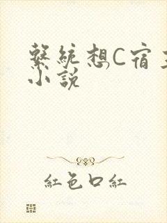 系统想C宿主的小说