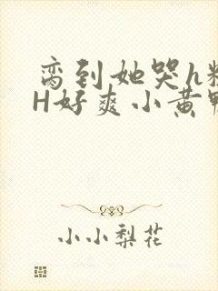 脔到她哭h粗话H好爽小黄鸭视频