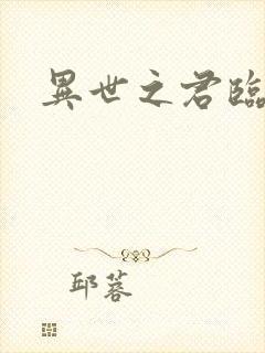 异世之君临天下