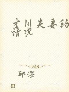 才川夫妻的恋爱情况