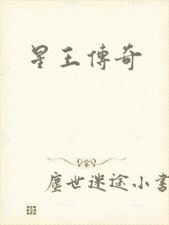 星王传奇