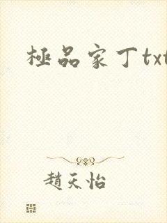 极品家丁txt