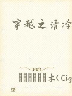 穿越之清冷公子