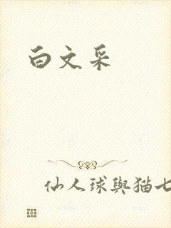 白文采