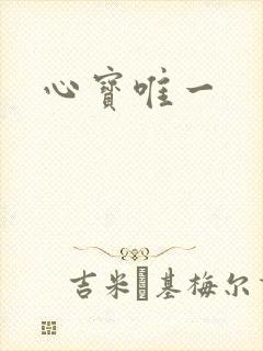 心宝唯一