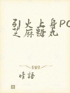 引火上身POP芝麻糖丸