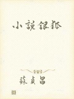 小说银狐