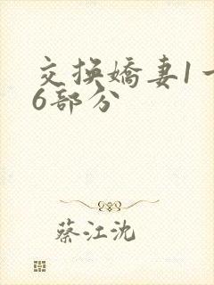 交换娇妻1一36部分