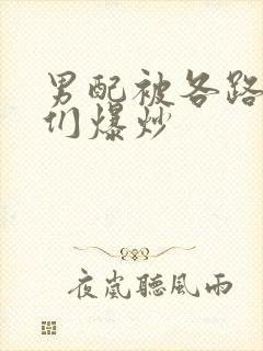 男配被各路大佬们爆炒