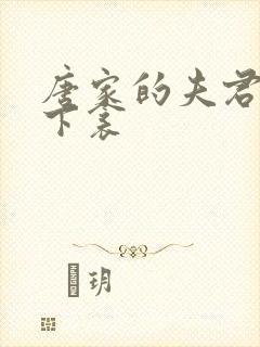 唐家的夫君们帘下衾