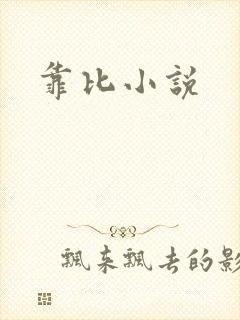 靠比小说