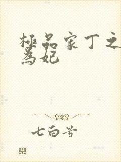 极品家丁之册母为妃