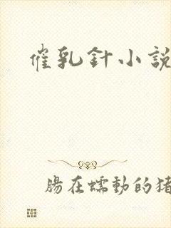 催乳针小说