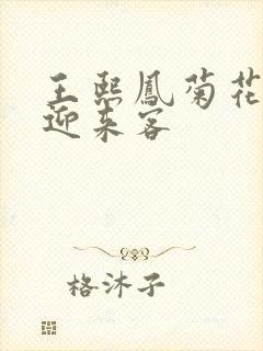 王熙凤菊花门初迎来客