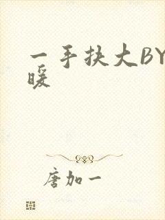 一手扶大BY泱暖