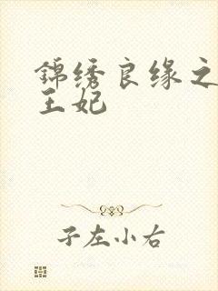 锦绣良缘之北地王妃