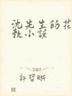 沈先生的花式调教小说