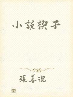 小说楔子
