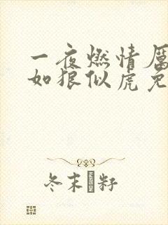 一夜燃情厉先生如狼似虎免费阅读