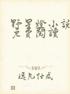 野星灯小说全文免费阅读