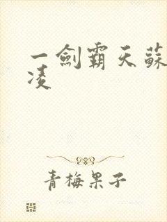 一剑霸天苏信赵凌