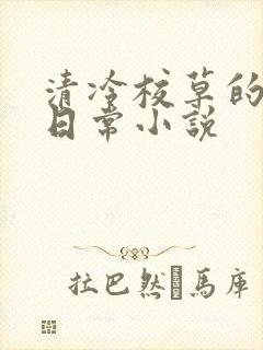 清冷校草的堕落日常小说
