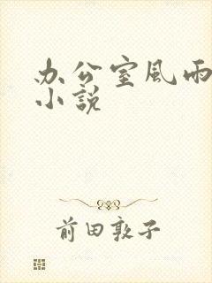 办公室风雨完整小说