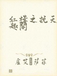 红楼之挽天倾笔趣阁