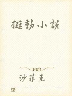 挺动小说