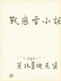 战恋雪小说