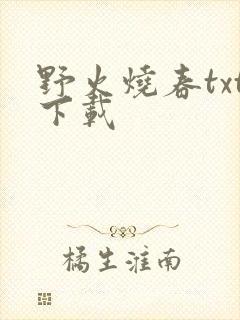 野火烧春txt下载