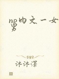 np肉文一女多男