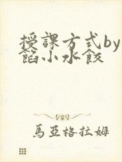 授课方式by肉馅小水饺