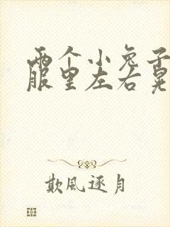 两个小兔子在衣服里左右晃