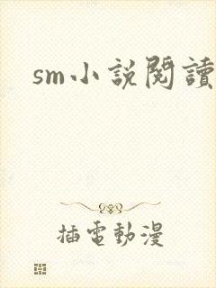 sm小说阅读