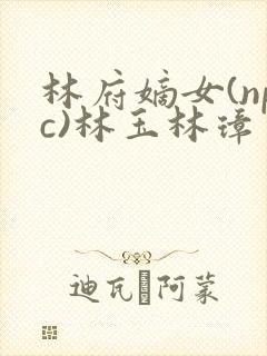 林府嫡女(npc)林玉林璋