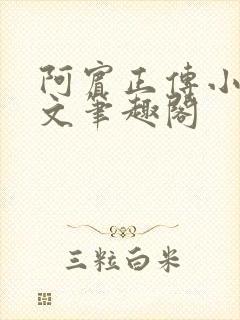 阿宾正传小说全文笔趣阁