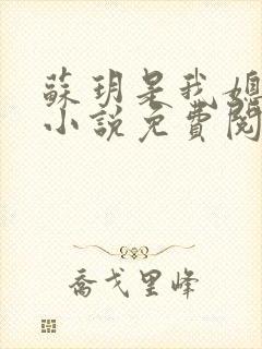 苏玥是我媳妇的小说免费阅读全文