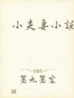 小夫妻小说
