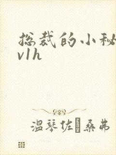 总裁的小秘书1v1h