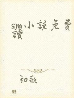 sm小说免费阅读