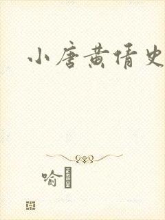 小唐黄倩史