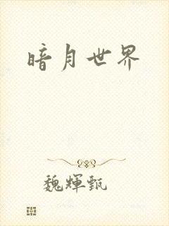 暗月世界