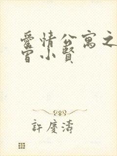 爱情公寓之极品曾小贤