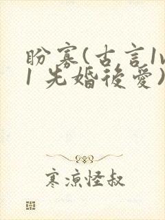 盼寡(古言1v1 先婚后爱)