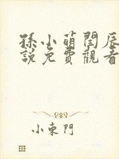 孙小萌闫辰的小说免费观看